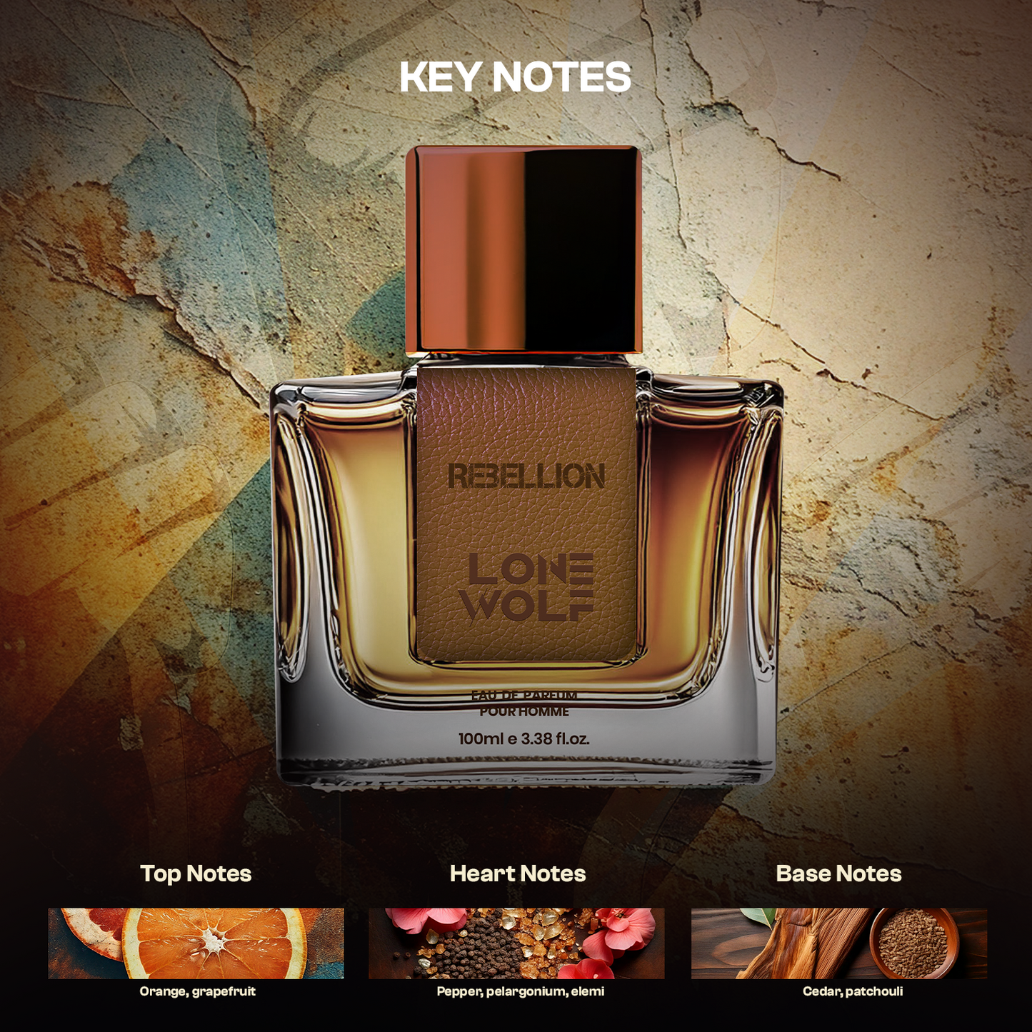 Rebellion Eau De Parfum Pour Homme 100ml